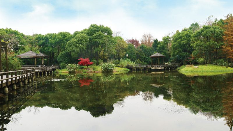 成都花卉租摆公司安装流程全解析