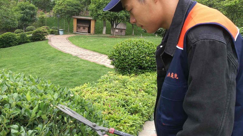 小庭院设计施工：从规划到验收的五大步骤