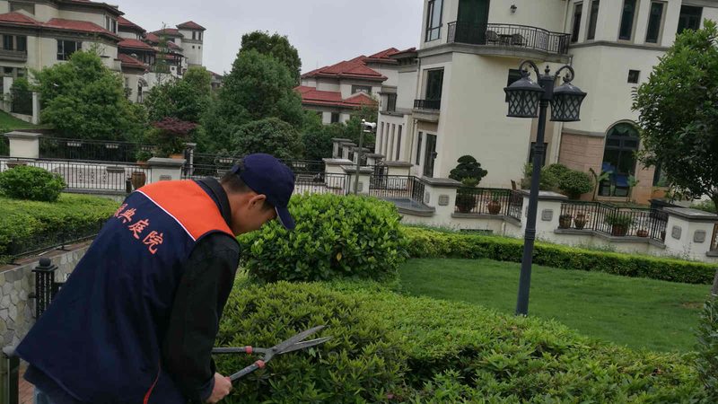 楼顶迷你庭院设计方案：打造城市绿洲的实用指南