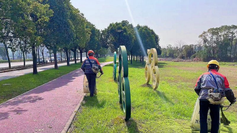 如何选择优质的苗木种植技术视频教程**