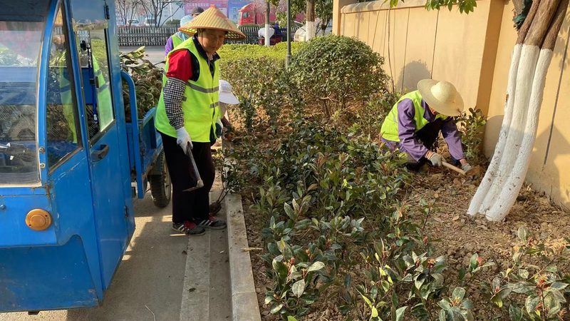 园林工程报价与招标文件匹配：关键要素与注意事项