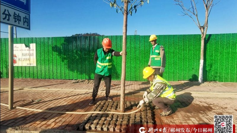 小型苗木种植加盟：投资预算解析与关键考量**