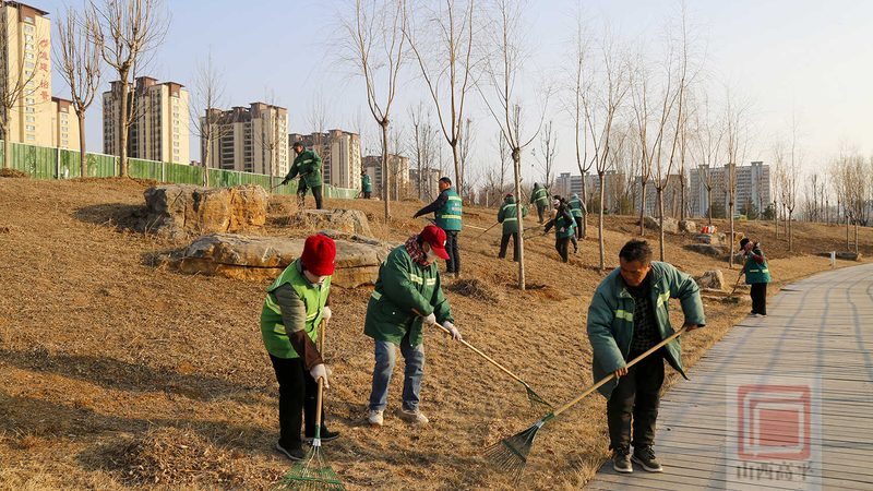 绿化隔离带高度与材质分类：打造城市生态景观的关键