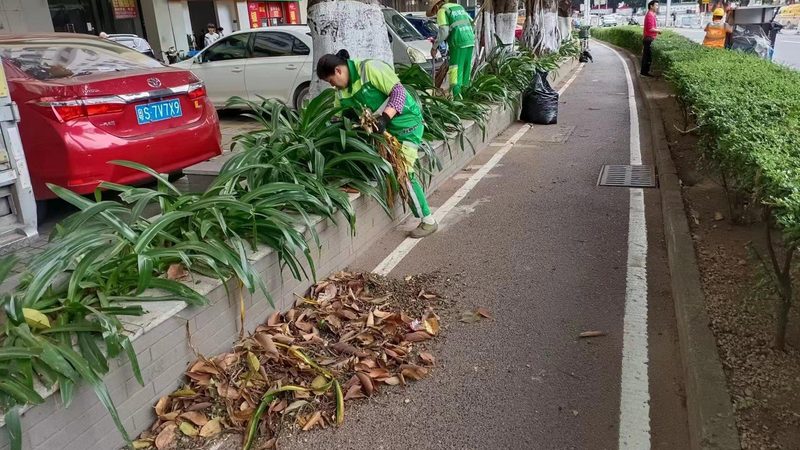 园林绿化施工工艺流程全解析**