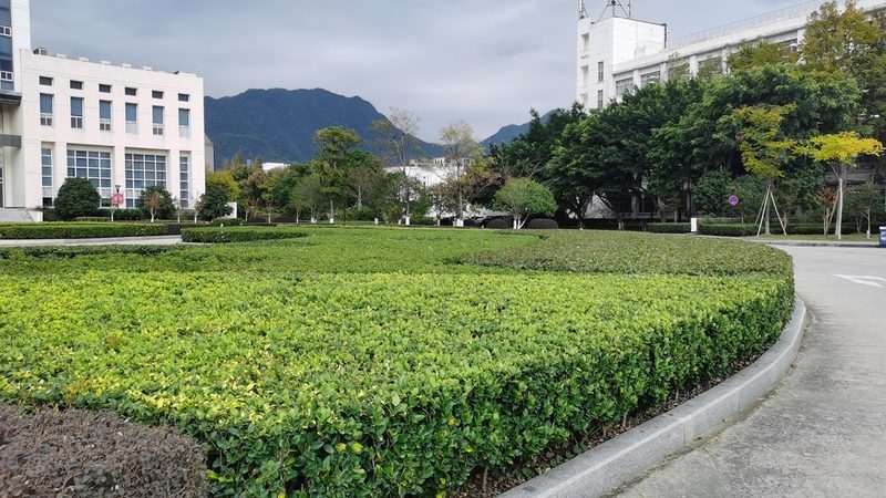 屋顶草坪防水层材质分类解析