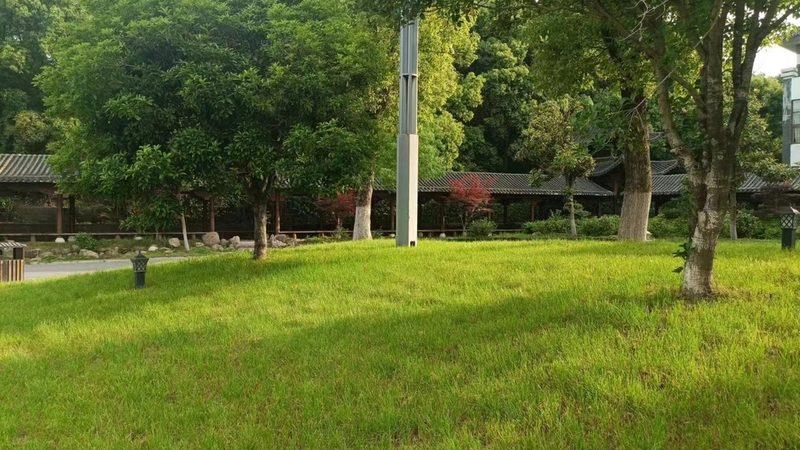 液压喷播与客土喷播：两种绿化技术的价格与区别**