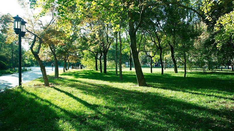 市政公园景观工程预算明细：关键要素与合理规划**